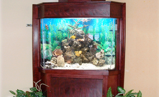Meuble d'aquarium